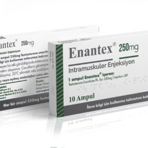 Proton Pharma Test E Enantex 250mg 1ml ampules pack of 10