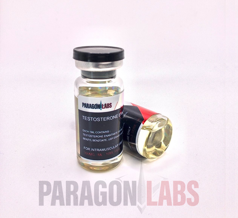 Test E Paragon Labs 250mg/ml testosterone enanthate vial